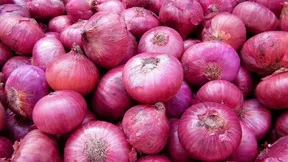 Bawang Merah India Aaa [p04-16.webp]
