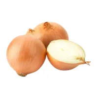 Bawang Holand [p04-08.webp]