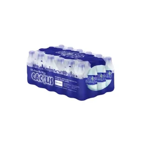 Cactus Mineral Water [p05-01.webp]