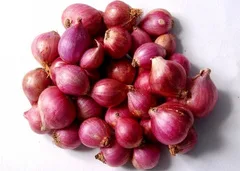 Bawang Kecil Rose [p04-15.webp]